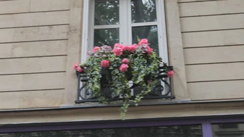 A panning shot of the windows with the flower pots in Paris. Video stock 302595127