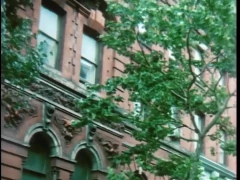 Panning up side of building, New York City Vídeos de archivo 260254253