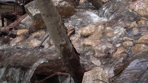 Panning of a small stream Stock Footage 88009952
