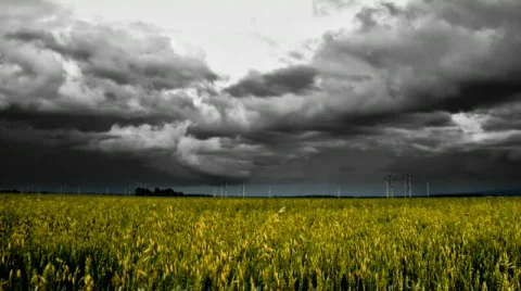 Panning storm over grain time-lapse Video stock 503378