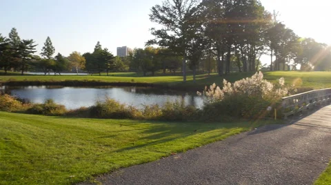 Panning Into The Summer Sun Stock Footage 60112996