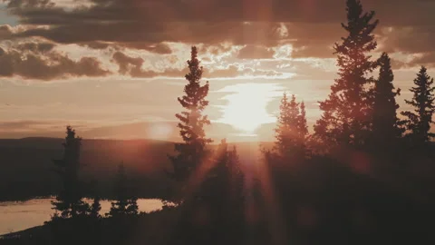 Panning Sunset Through Black Spruce Trees Video stock 232442803