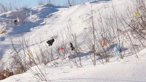 Panning through bare trees with plastic bags near rubbish dump Stock-Footage 70390891