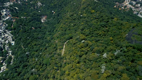 Panning Up Through Forest, Overlooking Sugarloaf Mountain, 4k Stock Footage 240045190