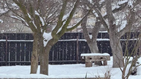 Panning through Garden while Snowing, Slow Motion Stock Footage 149893585