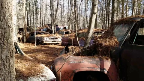 Panning through tree to old beatup pickup truck Stock-Footage 72312802