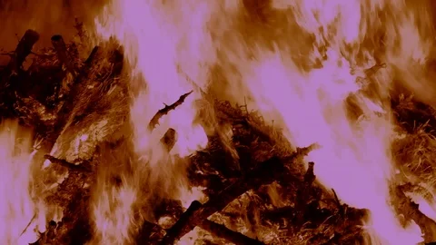 Panning thru an intense fire of Christmas trees Stock Footage 122307256