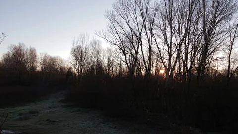 Panning time lapse of the sun behind the trees 4K - Italian nature Video stock 125636131