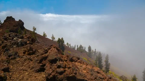 Panning Timelapse Clouds Engulfing Pine Forest Volcanic Lava Slope Tenerife 4K C Stock Footage 335765130