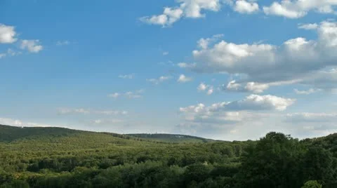 Panning Timelapse over Forest Stock-Footage 18197352