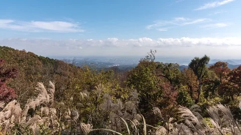 Panning timelapse shot of the view from Mount Takao, Tokyo, Japan Stock Footage 82765830