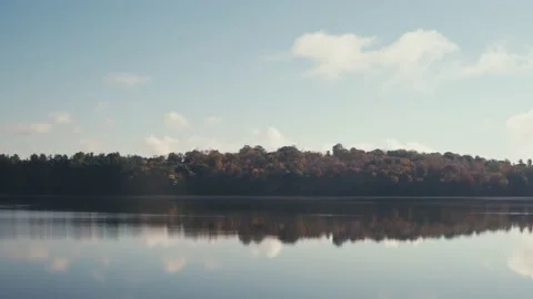 Panning tree line on the river edge in the morning Video stock 165766935