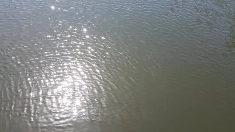 Panning upwards to see the river Thames in England, 4K Stock Footage 111490503