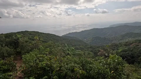 Panning Valley View South from Saddle Peak, Jungle and Ocean, Andaman Islands Stock Footage 339371682