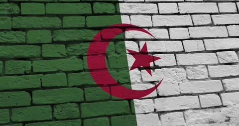 A panning video of a brick wall with the algeria flag Stock Footage 337426880