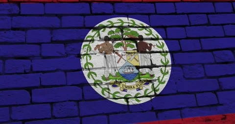 A panning video of a brick wall with the belize flag Stock Footage 337427195