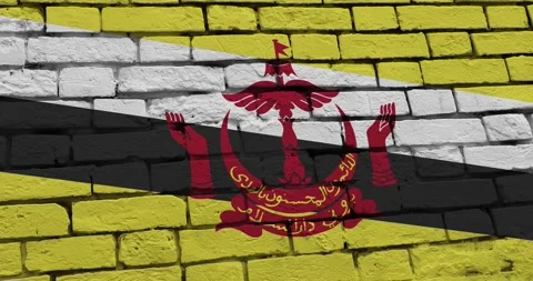 A panning video of a brick wall with the brunei flag Stock Footage 337427794
