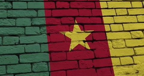 A panning video of a brick wall with the cameroon flag Stock Footage 337427825