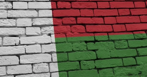 A panning video of a brick wall with the madagascar flag Video stock 337429724
