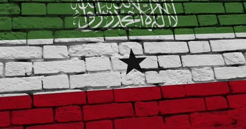 A panning video of a brick wall with the somaliland flag Video stock 337431375