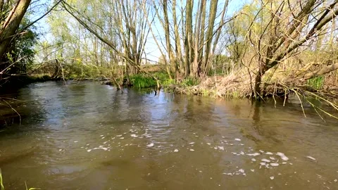 Panning video of a creek during springtime Stock Footage 152970281