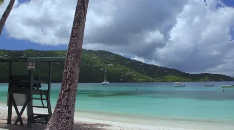Panning video of palm trees on the beach, Magens Bay, St Thomas Stock-Footage 68790084