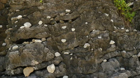 Panning up video of rocky cliff at Phi Phi island, Thailand. Stock Footage 59775183