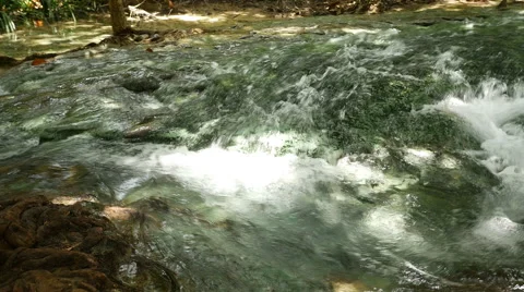 Panning video of tropical river stream Stock Footage 59775443