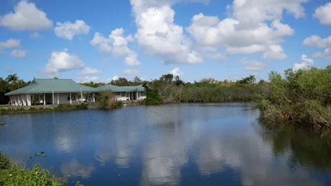 Panning View of the Anhinga Trail Landscape in Everglades National Park Stock Footage 104023053