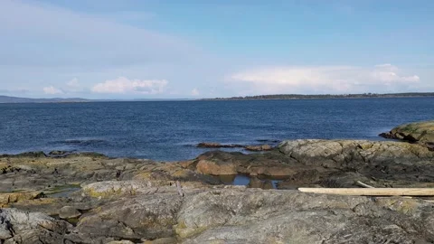 Panning view from Cattle Point Stock Footage 190814982