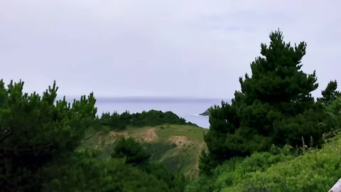 A panning view of cloud covered coastline, over brush and trees, a bird Stock Footage 138908678