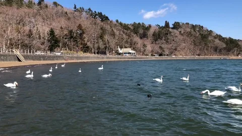 Panning view of the cloud floating on the Mt.Fuji and hills, Tokyo, Japan Stock-Footage 107230001