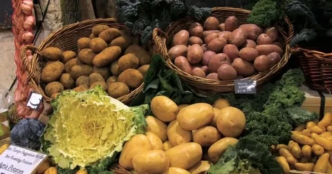 Panning view of a display of different variety of organic potatoes Stock Footage 69241780