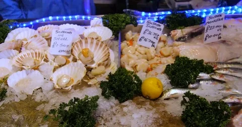 Panning view of a display of fish and seafood in a fish monger stand Stock Footage 69240032
