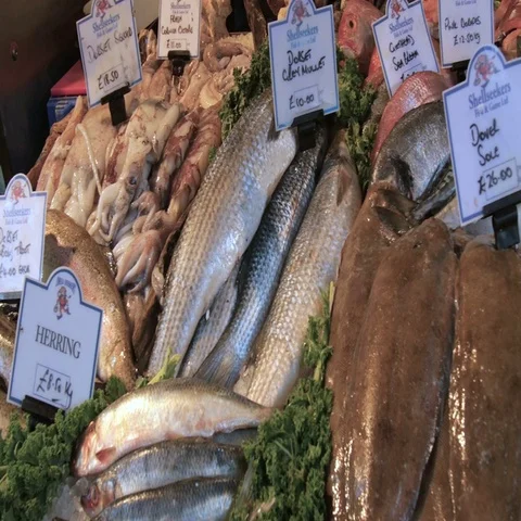 Panning view of a display of fish and seafood in a fish monger stand Stock Footage 69487360