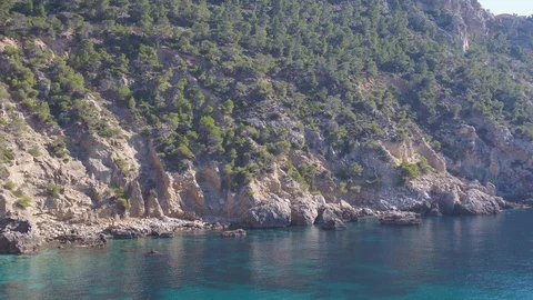 Panning up view of forest and cliffs with turquoise waters Stock Footage 101569004