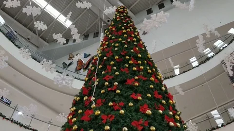 Panning view of huge christmas tree, Swanky mall, Bangalore Stock Footage 100387186