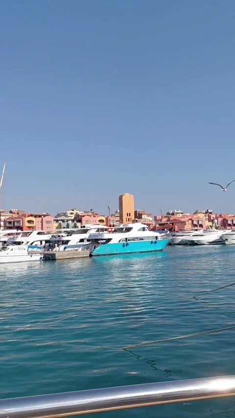 Panning view of Hurghada Marina harbor with yachts and seagull in Egypt Stock-Footage 346306124