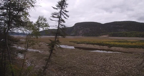 Panning view low tide bay Stock Footage 116790617