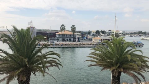 Panning view of the marina through pan trees Vilamoura Portugal Stock Footage 98413820