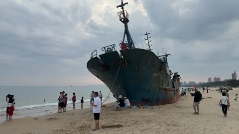 Panning View of a Massive Abandoned Ship Stranded on the Beach Video stock 330943249