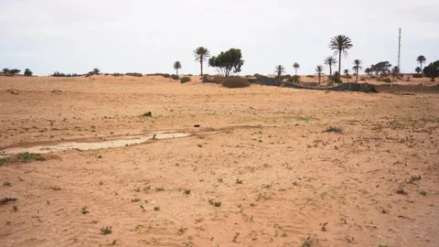 Panning View of Moroccan Desert Landscape with Agricultural Greenhouses Vídeos de archivo 334180945