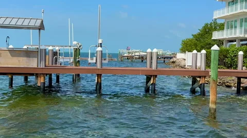 Panning view, ocean boat dock with double breasted cormorant bird on cleat post Stock Footage 296746573