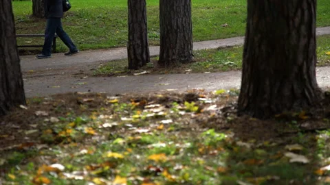 Panning view of person walking down the path at the park. Stock Footage 144796618