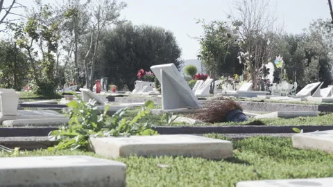 Panning view of pet cemetery tombstones Stock Footage