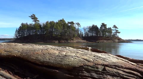 Panning View of Pine Trees and Rocky Coastline Stock Footage 33267297