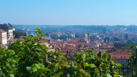 Panning view of prague cityscape from vineyard on sunny day Stock Footage 312468348
