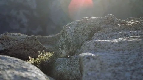 Panning view of rocks and a distant mountain Stock Footage 91709668