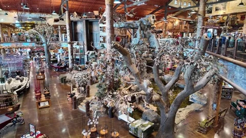 Panning view of the rustic interior of a Cabelas sporting goods store. Stock Footage 333918738