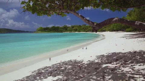 Panning view of Scott Beach, Caneel Bay, St John 库存影片 67334048